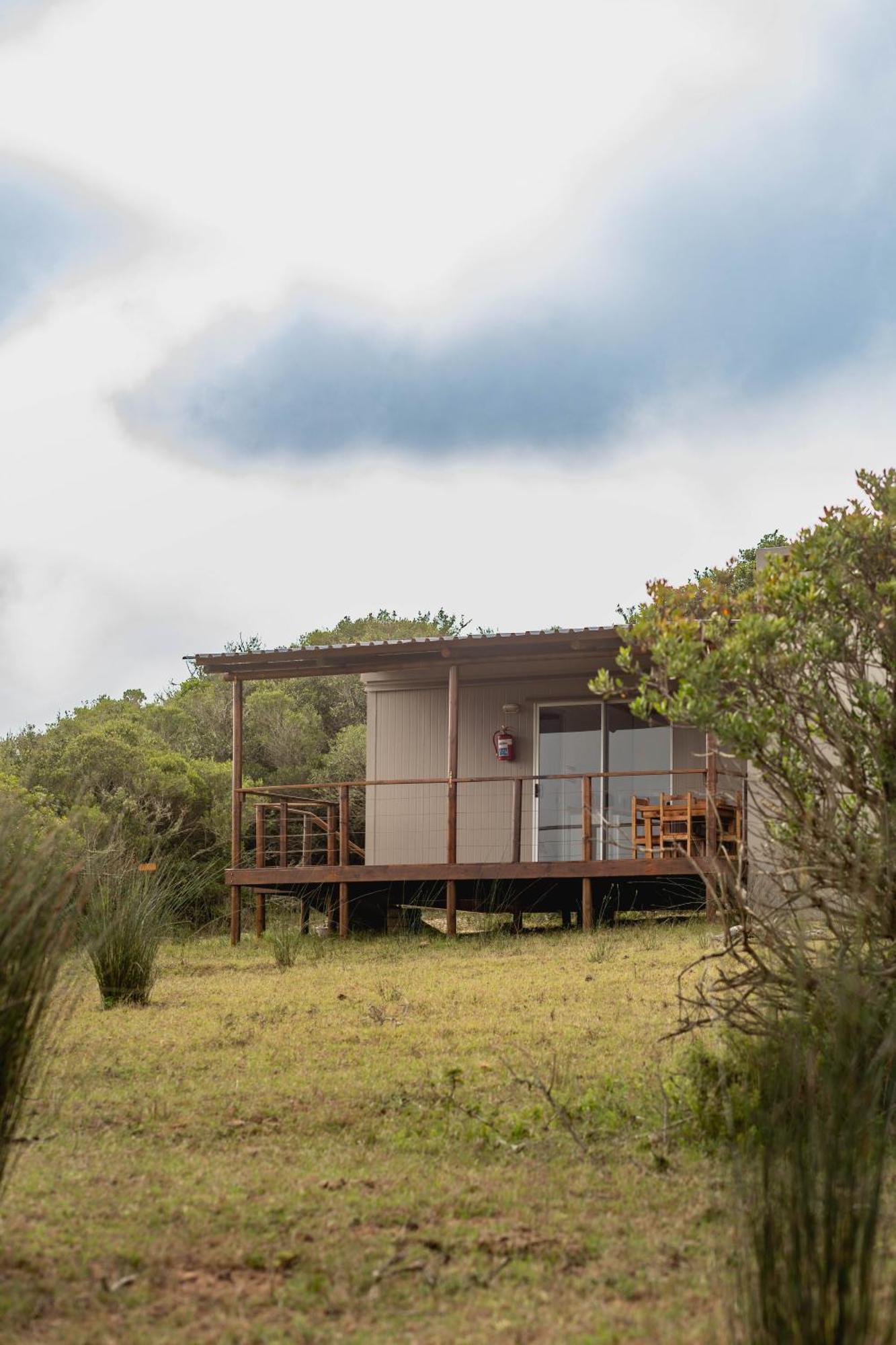 Baardbos Private Game Reserve Apartamento Stilbaai Quarto foto